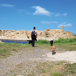 Sorties éducatives et promenades avec LINC School